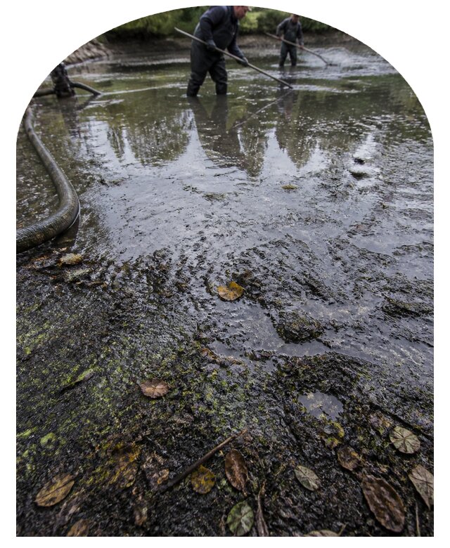 Очистка пруда в Домодедове от ила мусора и водорослей с вывозом